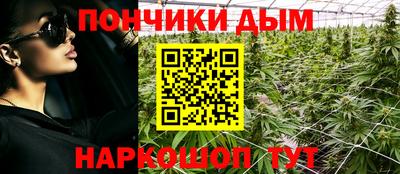 apvp Нальчик