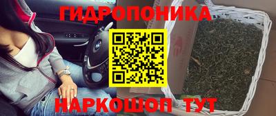 apvp Нальчик