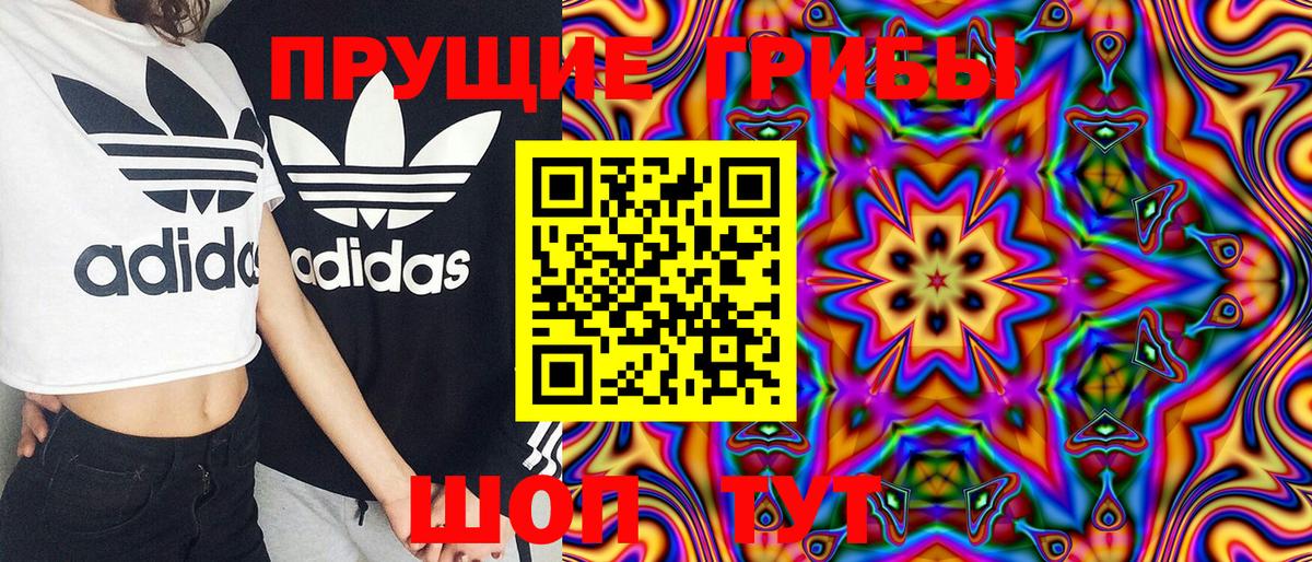 Псилоцибиновые грибы Cubensis  Вход с VPN  Сатка  Галлюциногенные грибы GOLDEN TEACHER 